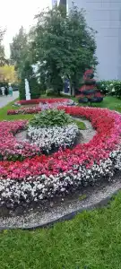 Родник - 72