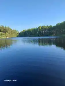 Динамо - 31