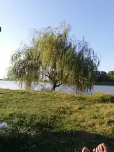 База отдыха на 7 прудах - 43