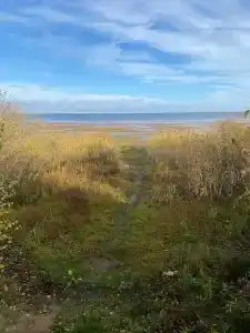 Сокол - 4
