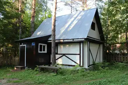 Виктория - 36