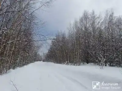 Петровых - 39