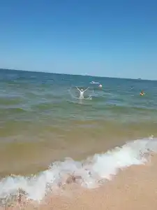 Прибой - 1
