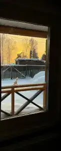 Дом на острове - 21