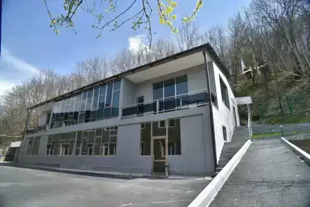 GreenWood - 1