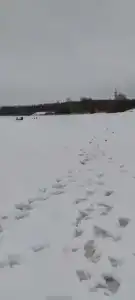 На Вазузу - 78