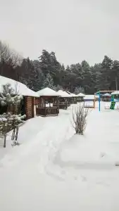 Лесной Дворик - 31