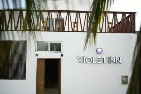 Violet Inn - 6