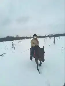 Бородино - 93