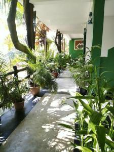 The Nature Park Villa - 44