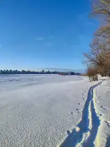Мелиоратор - 11