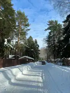 Чайка - 33