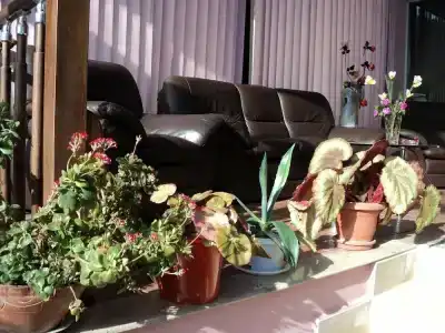 EcoRest - Likani Palace - 37