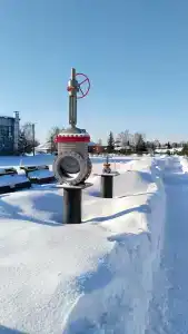 на Луговой - 2