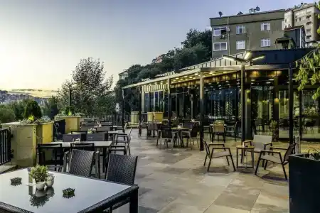 Clarion Golden Horn - 15