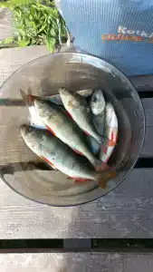 Форт Верный - 89