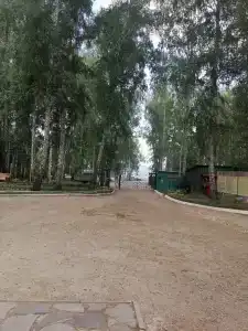Берёзка - 54