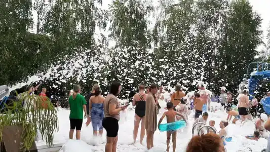 Три медведя - 35