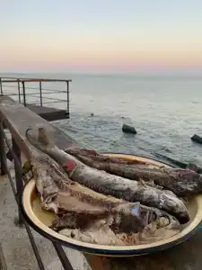 Жемчужный - 9