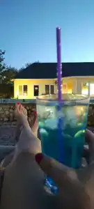 Альбатрос - 98