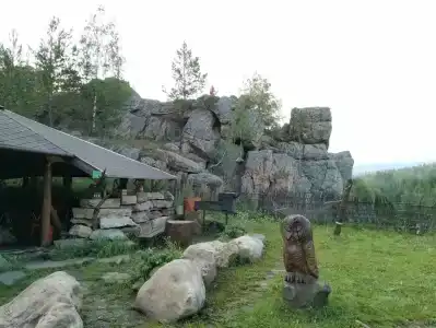 Тайга - 19