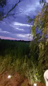 Берег мечты - 39