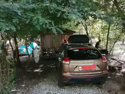 Сказочный лес - 14