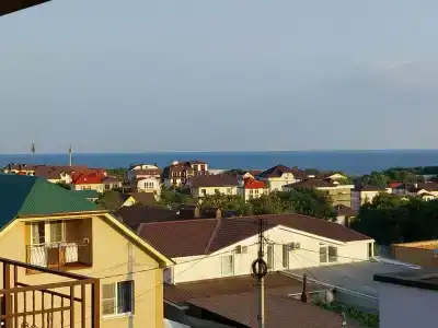 Золотая Лоза - 6