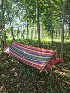 Выродово-Клуб - 2