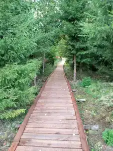 Белогорье - 95