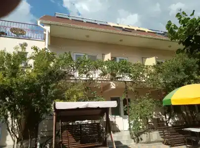Кипарис - 19