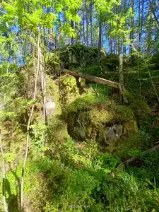 Авиаретро - 86