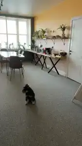 Лесная Ванна - 32