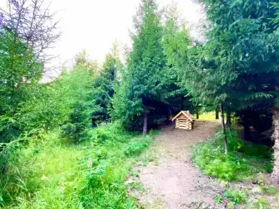 Белогорье - 13