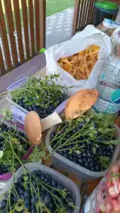 Мантиансаари - 76