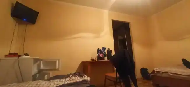 Оазис