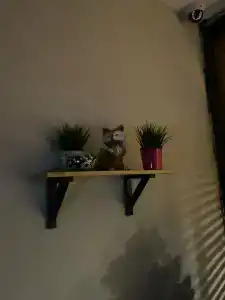 Комфортное место в центре города - 36