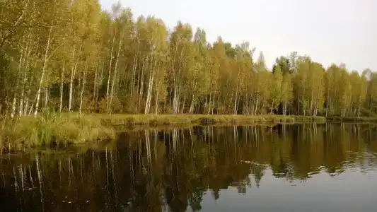 Новый Иордан - 4