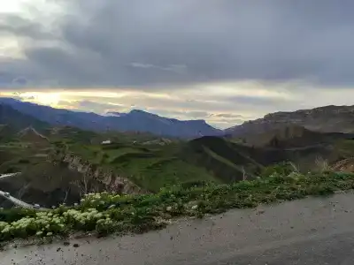 Пение птиц - 75