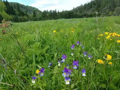 Культамак - 4