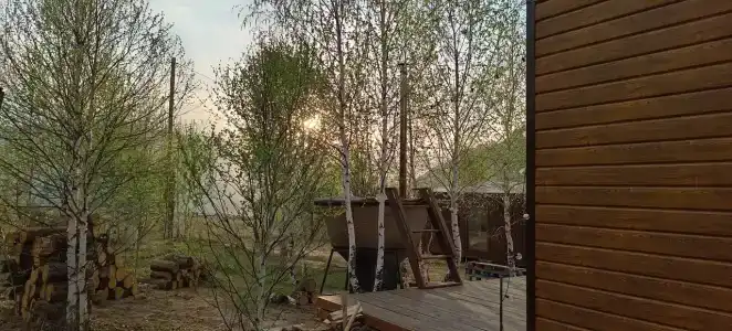 Чайное гнёздышко - 26