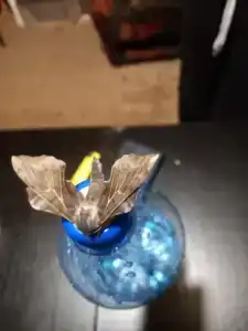 Веселый Роджер - 76