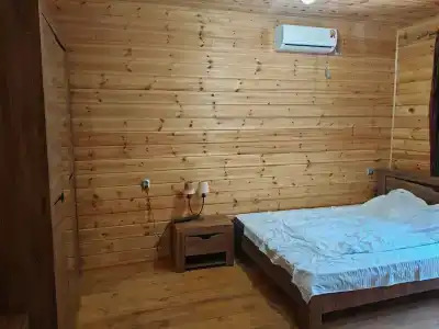 Сосновый бор - 49