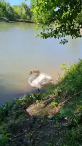 Хуторок - 6