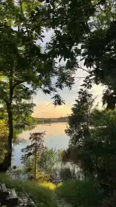 Родное - 48