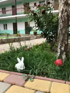 Цветочный уют - 15