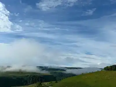 Медовые холмы - 21