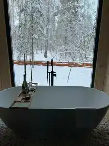 Место в лесу - 20