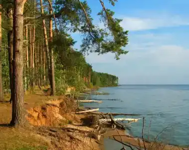 Обсидиан - 16