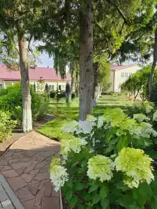 Великовечное - 11